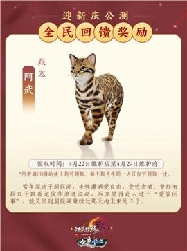 盛大天涯天龙八部私服